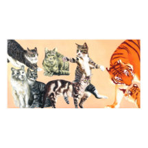 Gatos Indo Brincar