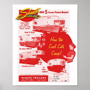 Poster Gatos legal de acampamento de Shasta - anúncio do