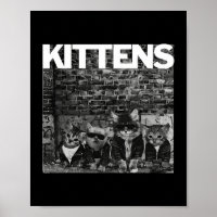 Gatos legal Gatinhos Medem Punk Rock Banda Engraça