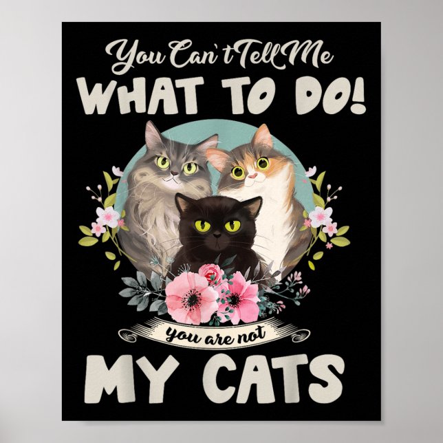 Poster Gatos Mãe, você não pode me dizer o que fazer, voc (Frente)