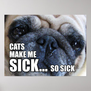 POSTER GATOS ME FAZEM DOENTE... TÃO DOENTE ALERGIA MEME