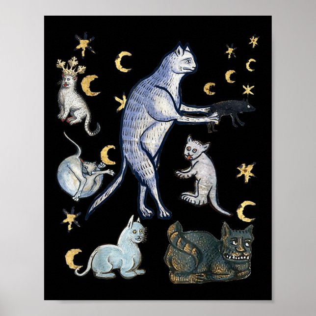 Poster Gatos medievais feios  (Frente)