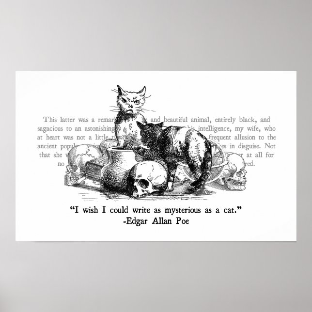 Póster Gatos Misteriosos (Frente)