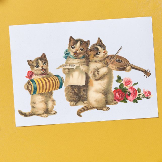 Póster Gatos Musicais (Criador carregado)