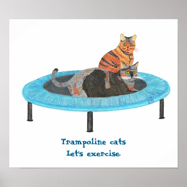 Póster Gatos no Mini Trampolim, Vamos nos exercitar Poste (Frente)