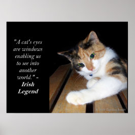 Poster Gatos Olham Para Outro Mundo