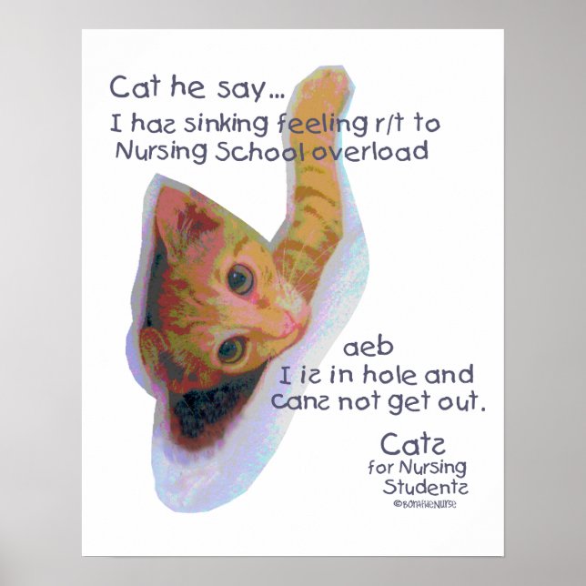 Poster Gatos para Enfermeiros Estudantes - Eu tenho Senti (Frente)