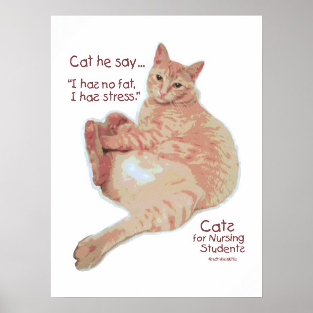 Poster Gatos para Enfermeiros Estudantes - Tenho Estresse (Frente)