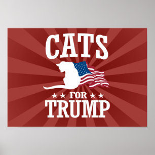 POSTER GATOS PARA O TRUNFO