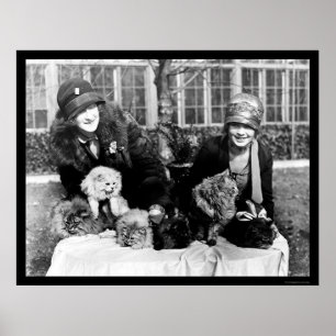 Poster Gatos persas e senhoras americanas 1924