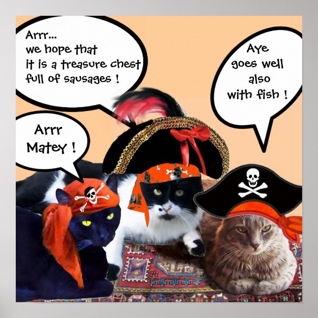 POSTER GATOS PIRATAS (Frente)