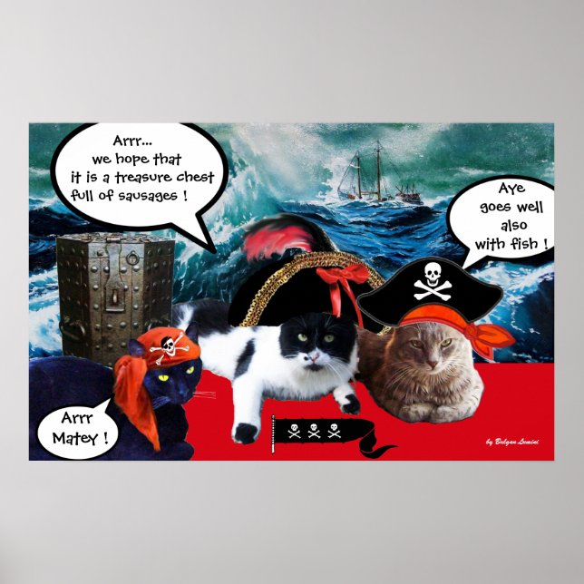 POSTER GATOS PIRATAS FALANTES E NAVIO NA TEMPESTADE NO MA (Frente)