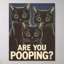 Gatos Pretos Engraçados Estão Feitos? Gato Humorís