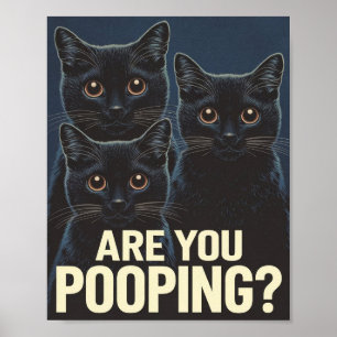 Poster Gatos Pretos Engraçados Estão Fezendo Cocô? Amante