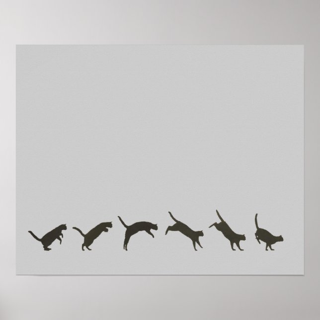Póster Gatos Pulando (Frente)