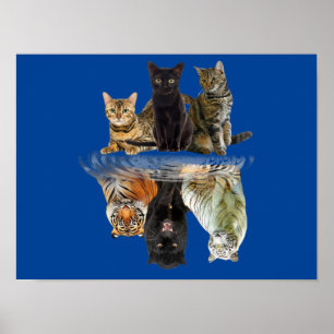 Poster Gatos Refletem Amigos De Gato Bonitos Tigre