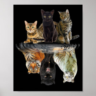 Poster Gatos Refletem Amigos De Gato Tigre