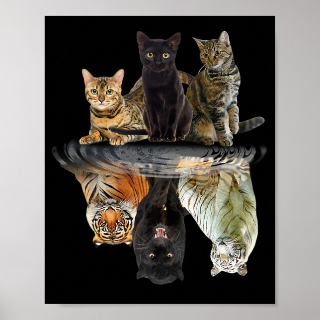 Poster Gatos Refletem Amigos De Gato Tigre (Frente)