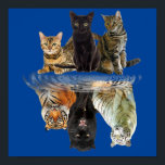 Poster Gatos Refletem Amigos De Gato Tigre<br><div class="desc">Gatos Refletem Amigos De Gato Tigre</div>
