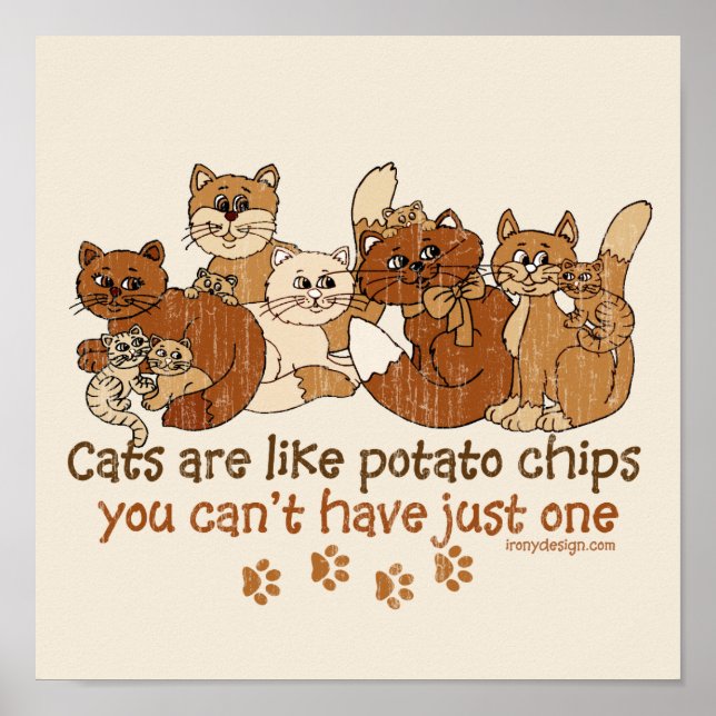 Poster Gatos são como batatas fritas (Frente)