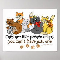 Gatos São Como Batatas Fritas Dizendo