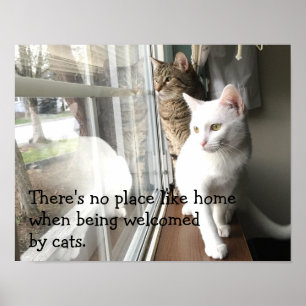 Poster Gatos sentados pela janela