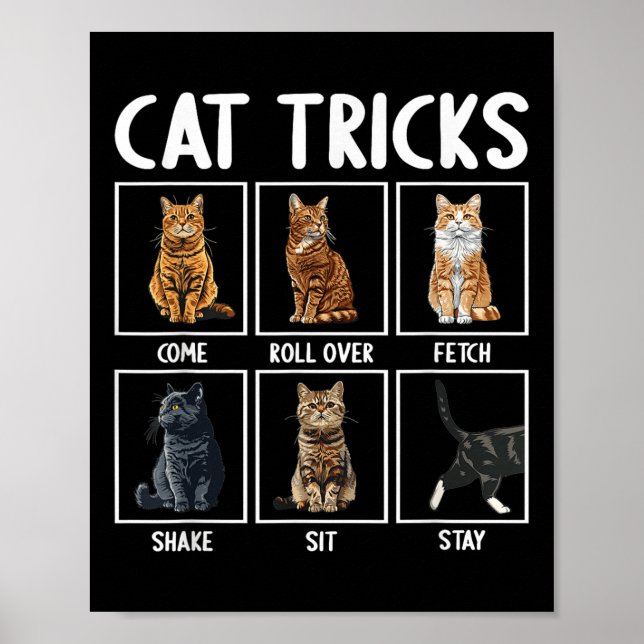 Poster Gatos Truques Engraçados de Gatos  (Frente)