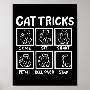 Poster Gatos Truques Engraçados Presentes Para Homens