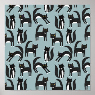 Poster Gatos Tuxedo