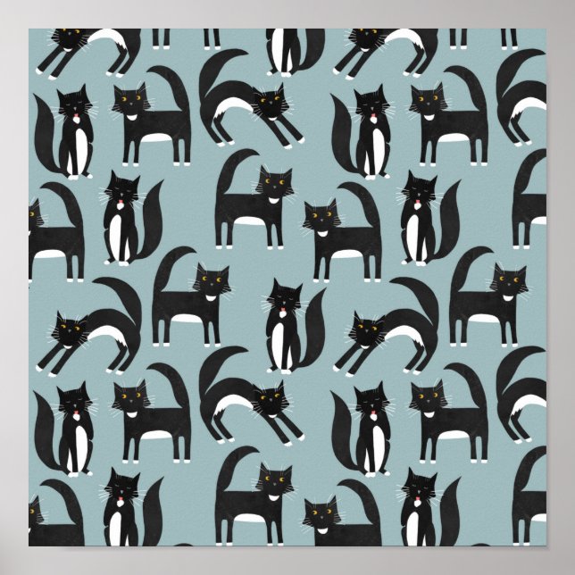 Poster Gatos Tuxedo (Frente)