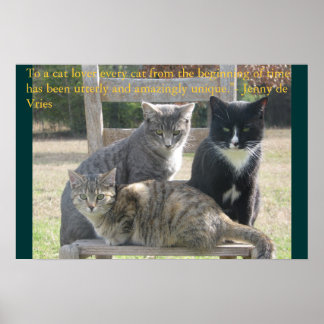 Poster Gatos únicos