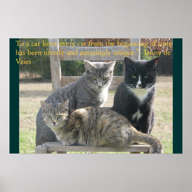 Poster Gatos únicos (Frente)