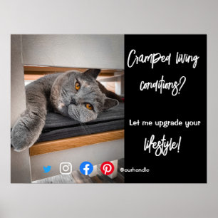 Poster gatos vivos engraçados com cartão postal