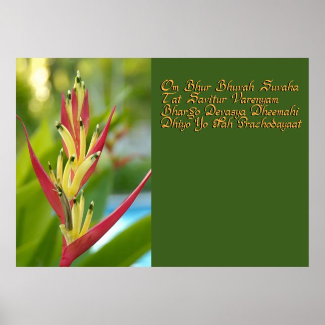 Poster Gayatri mantra (Frente)