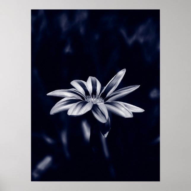 Poster gazana (Frente)