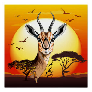 Póster Gazelle African Antelope Wild Animal