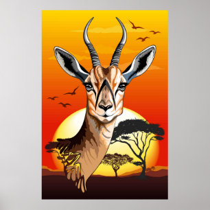 Poster Gazelle African Antelope Wild Animal