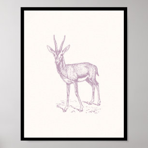 Poster Gazelle Deer