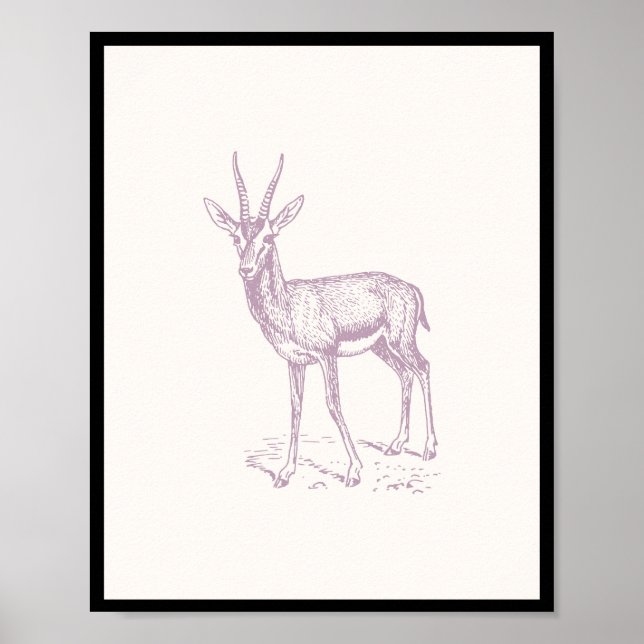 Poster Gazelle Deer (Frente)
