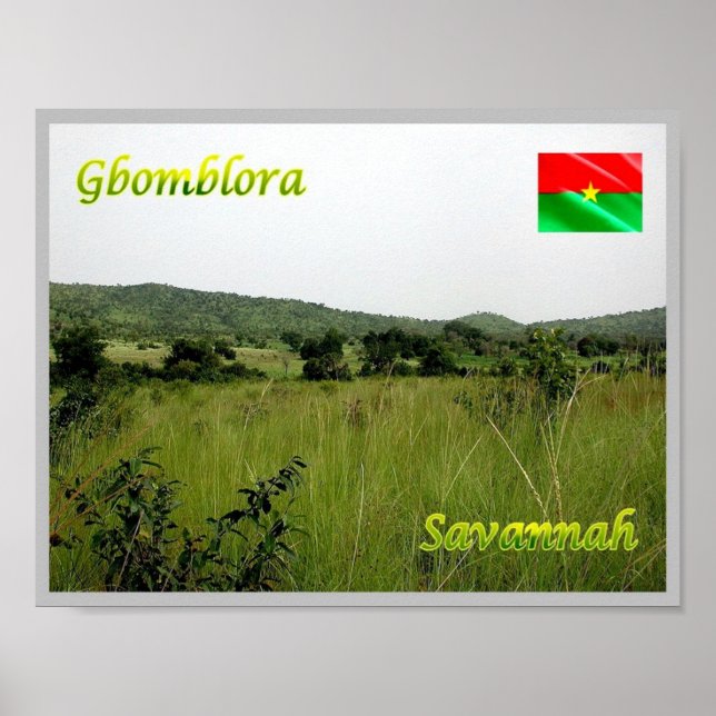 Poster Gbomblora - Savannah - (Frente)