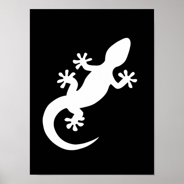 Poster gecko blanc (Frente)