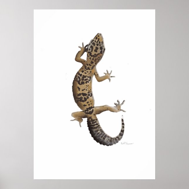 Poster Gecko-leopardo-amarela (Frente)