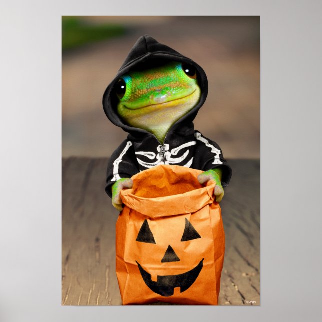 Poster Gecko Skeleton (Frente)