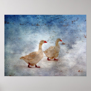 Póster Geese de inverno