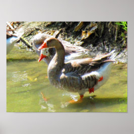 Poster Geeses são flexíveis