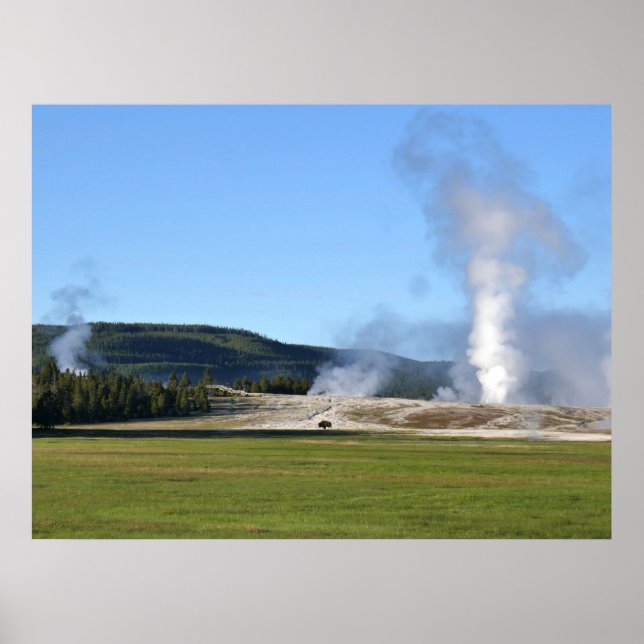 Poster Gêiser Deep Blue e Bisonte em Yellowstone (Frente)