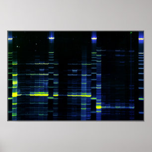 Poster Gel 1 da seqüência do ADN