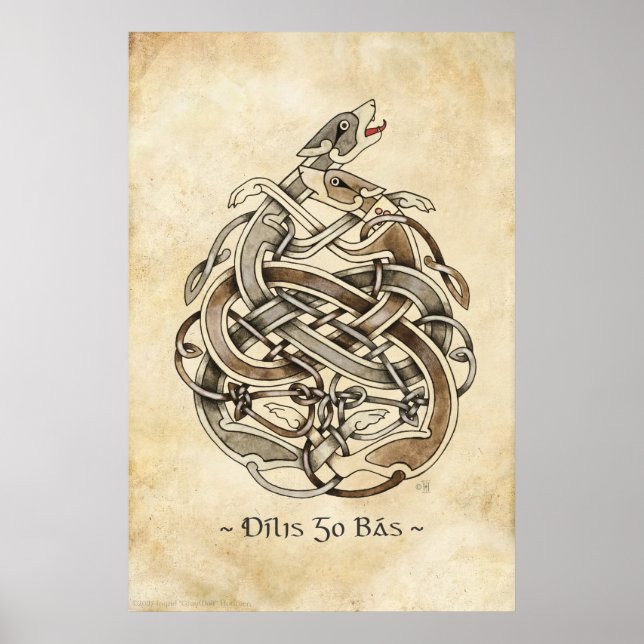 Póster Gelert (Frente)