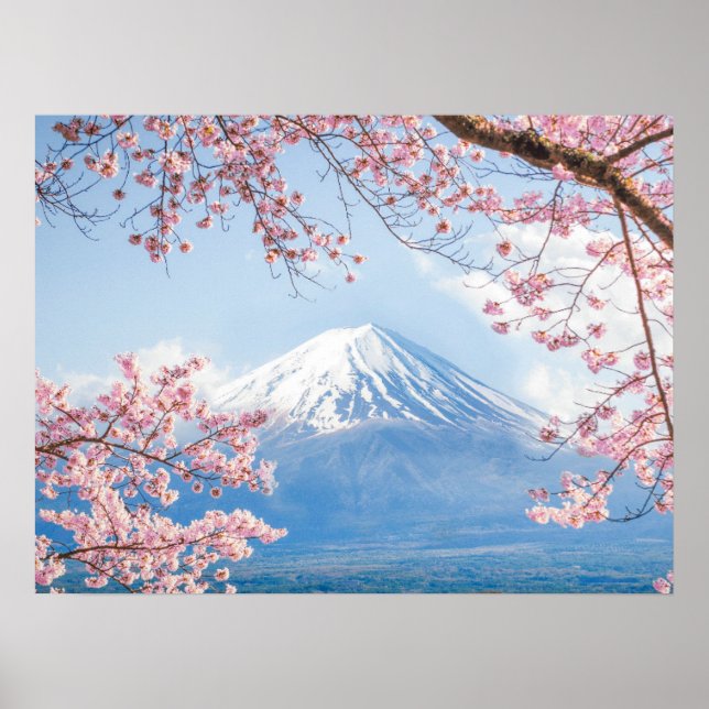 Poster Gelo e neve | Cherry Blossoms Mt. Fuji Japão (Frente)