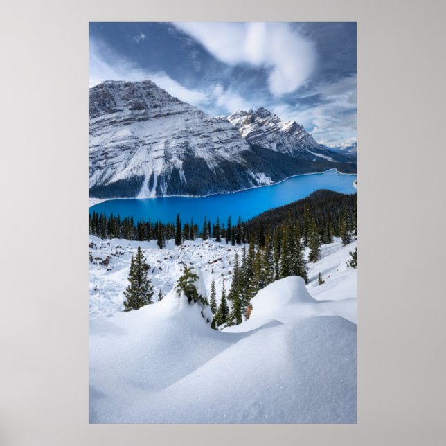 Poster Gelo e neve | Peyto Lake, Rockies canadianos (Frente)